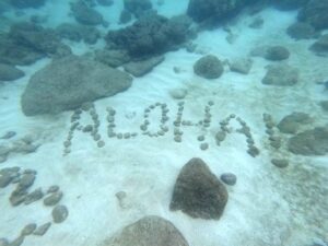 Aloha rocks